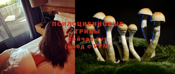 мдма Верхний Тагил